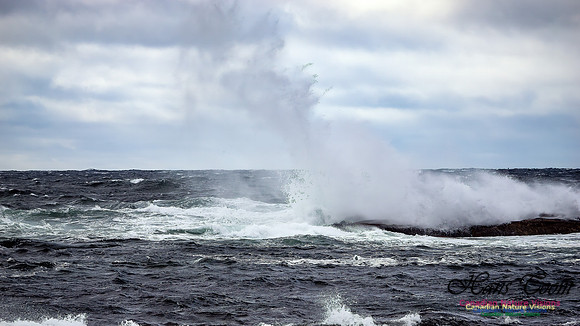 November Gale 3 110