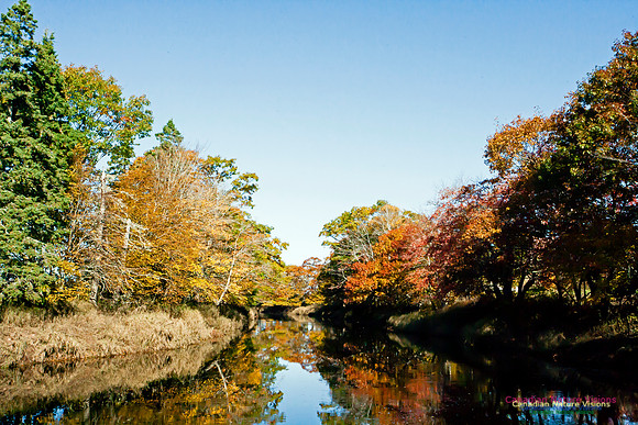 FallColours2012-79