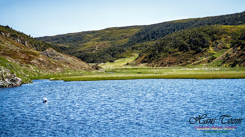 Cape Race 101