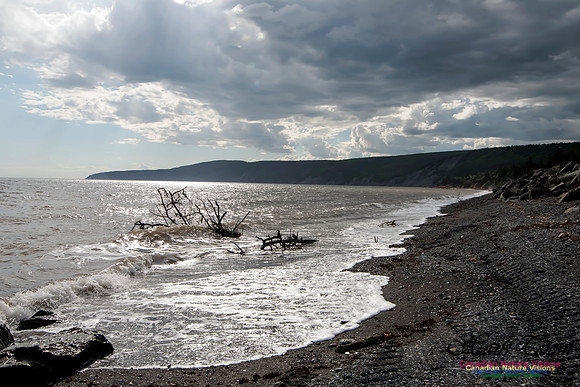 Cape Chignecto