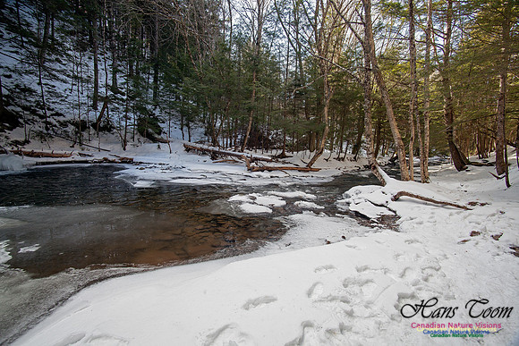 Butchers Creek