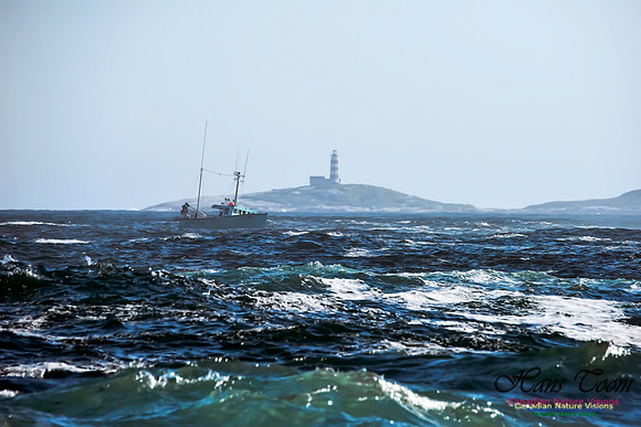 Fishing Boat off Eastern Head