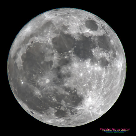 SupermoonDecember13,2016-11