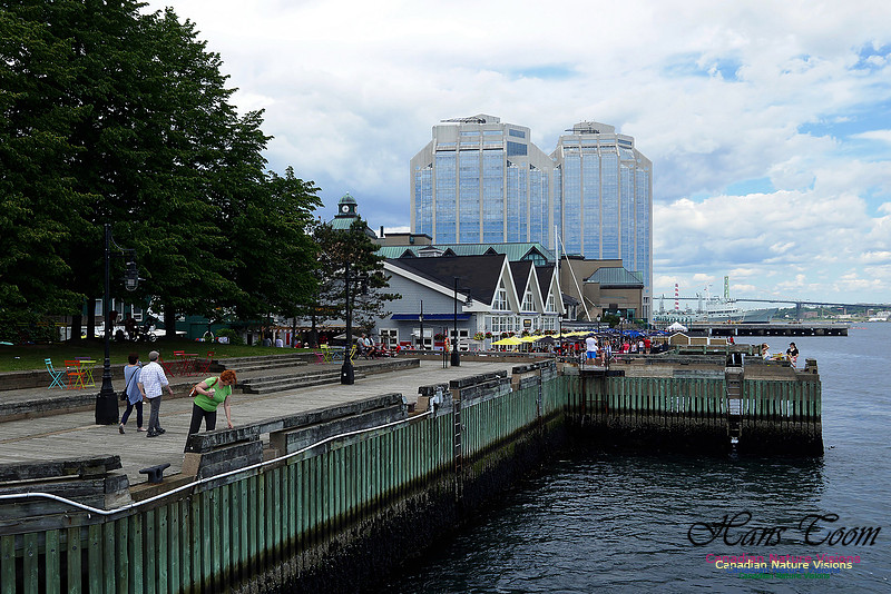 Canada Day July 1, 2016