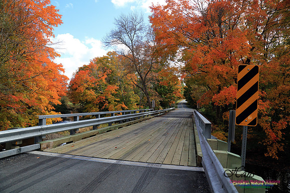 Bell Park