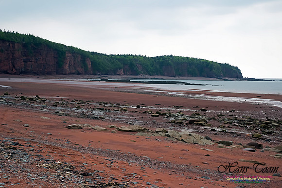 Chignecto Provincial Park