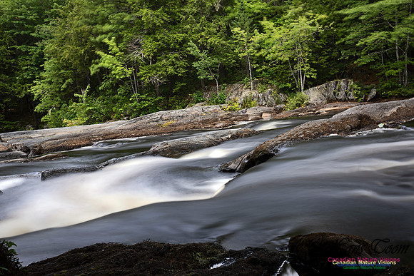 Living Water 104