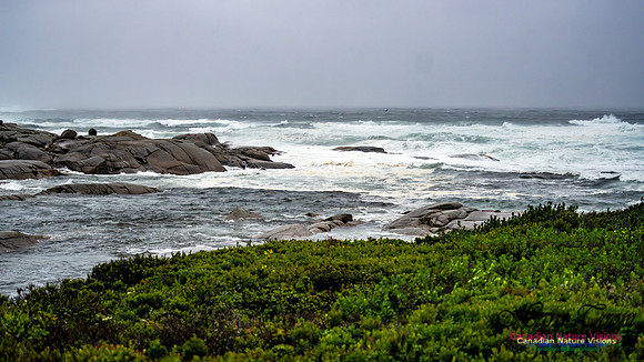 Nova Scotia Gale 2024-09-07 155