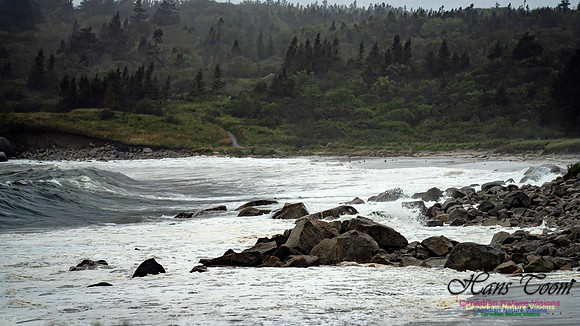 Nova Scotia Gale 2024-09-07 115