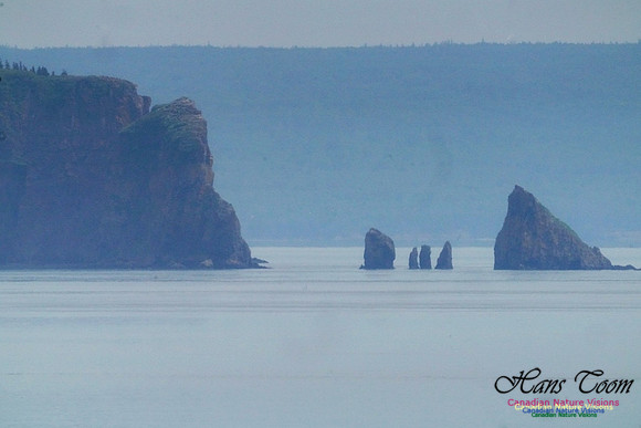 Cape Split 101