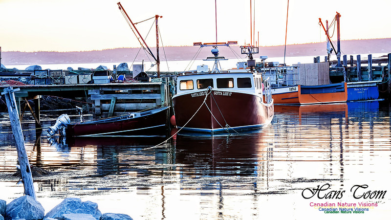 Peggy's Cove Sunset 712