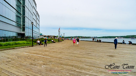 Halifax Waterfront Stroll 121