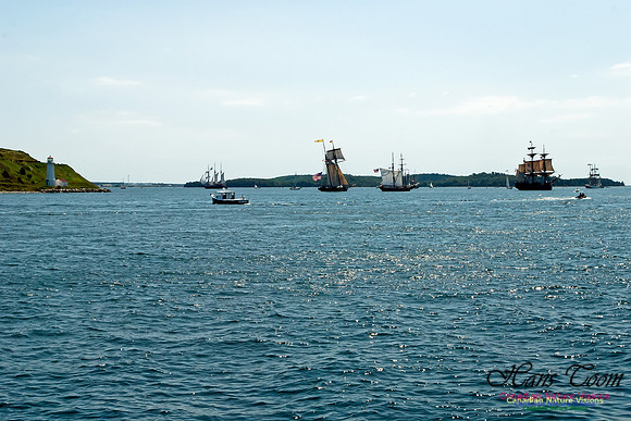 TallShips 2012
