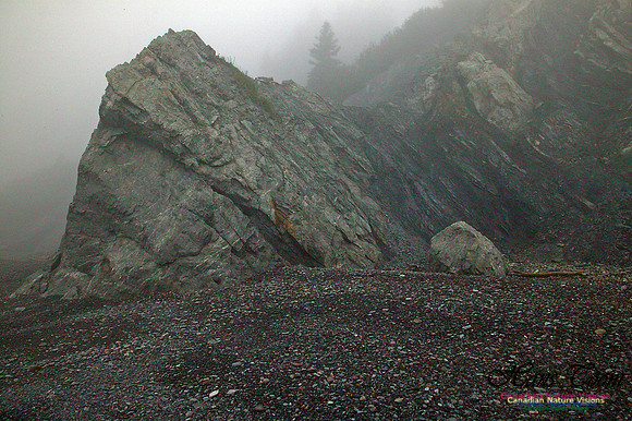 Cape Chignecto Beach Rock