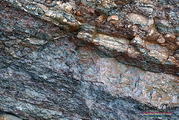 Joggins Fossil Cliffs 107