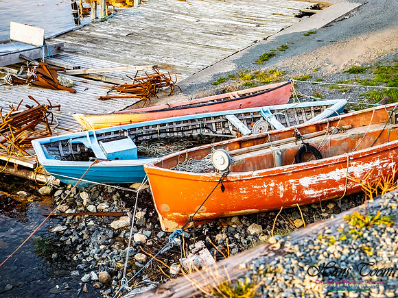 Late Day at Peggy's Cove 115