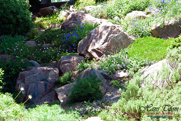 Rock Garden at Agricultural College