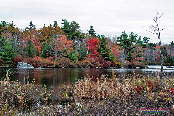 Sir Sanford Fleming Park