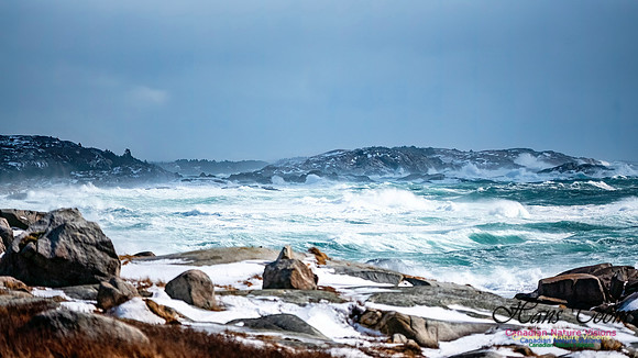 February 17 Gale 122