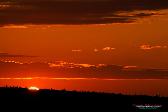 PortugueseCoveSunset3
