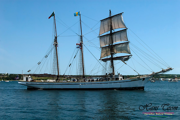 TallShips 2012