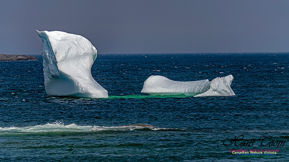 Twillingate 106