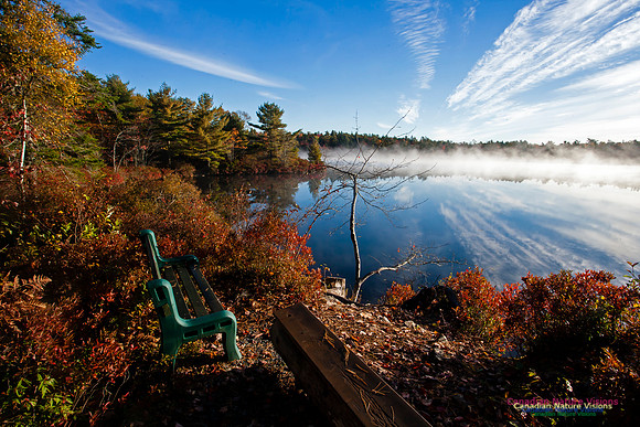 FallColours2012-33