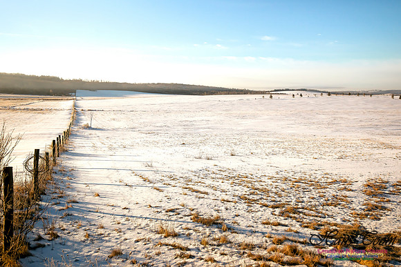 Country Farm in Winter