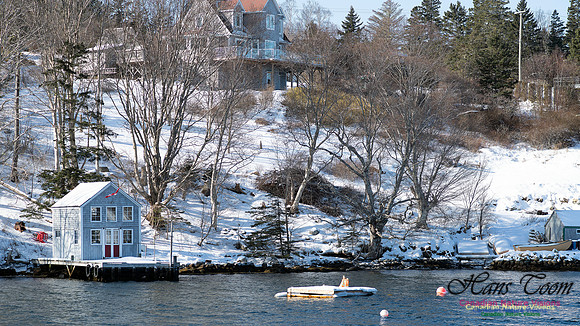 Prospect Bay Loop 133