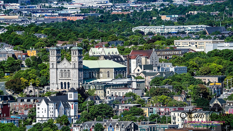 St. John's, Newfoundland 125