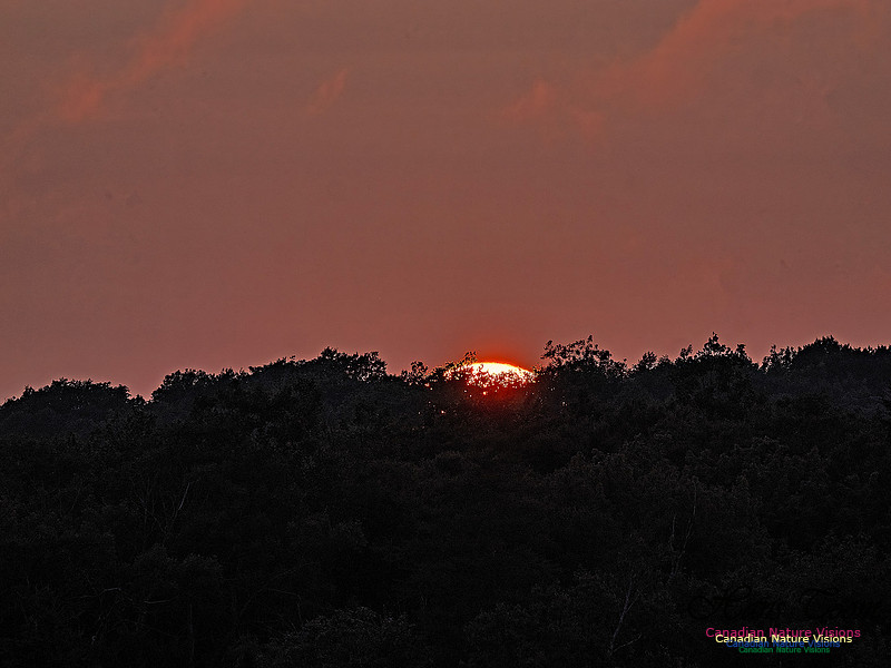 Edge of Day 101