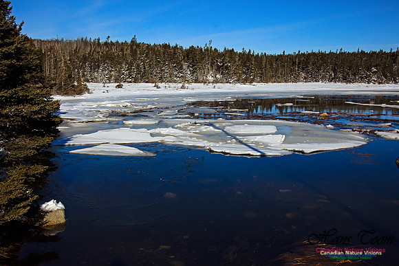 Sambro Head