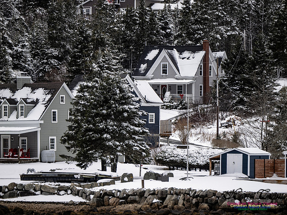April Snow In Nova Scotia 114