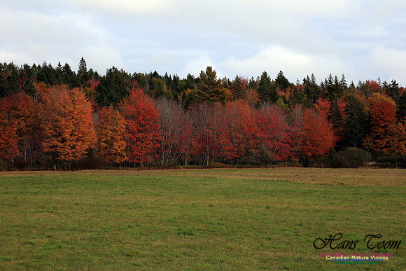 Shubenacadie Valley