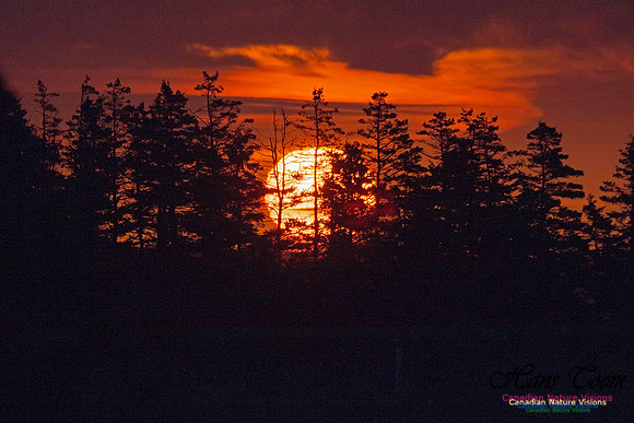 PortugueseCoveSunrise6