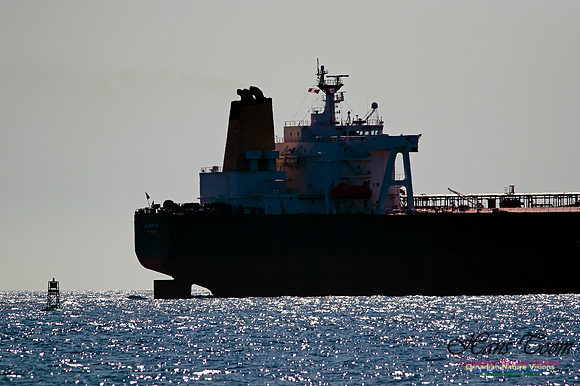 Freighter off Duncan Reef