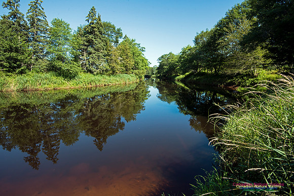 Musquodoboit River