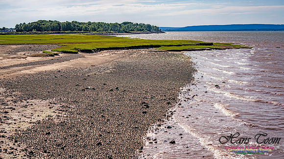 Peeps Evangeline Beach 2024 925