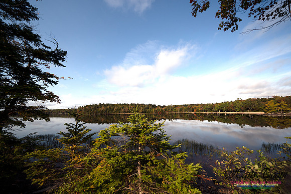 First Fall Photos Nova Scotia 125