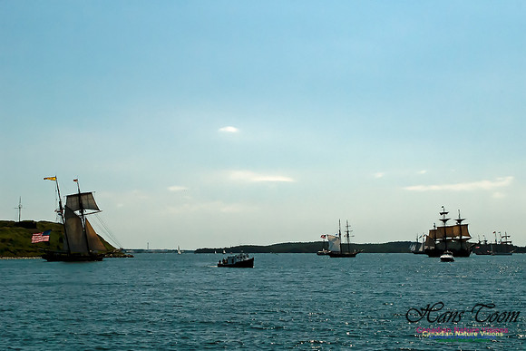 TallShips 2012