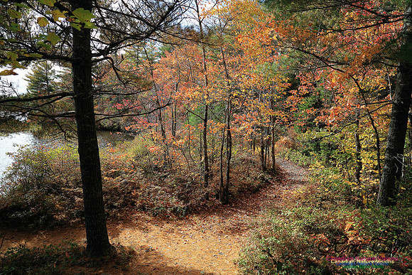 Bell Park