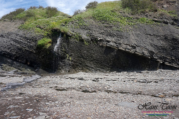 Joggins Fossil Cliffs 103