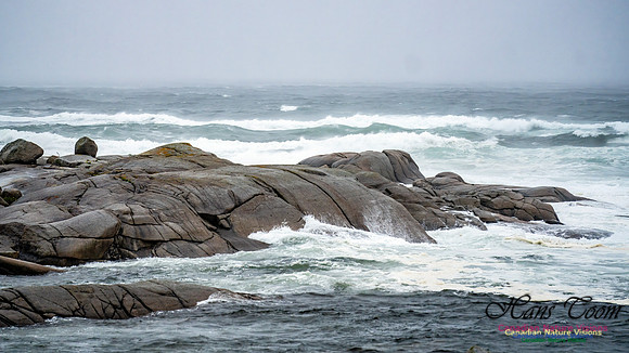 Nova Scotia Gale 2024-09-07 158