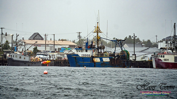 Nova Scotia Gale 2024-09-07 120