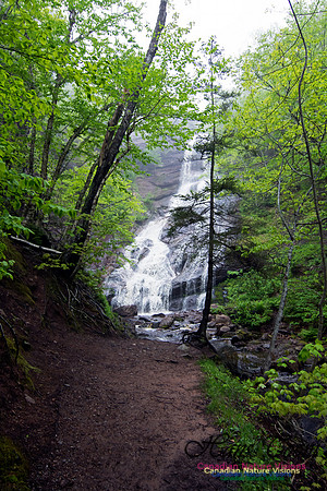 Cape Breton Highlands