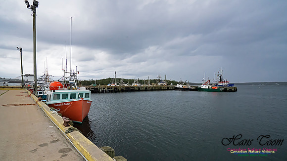 Sambro Harbour 101