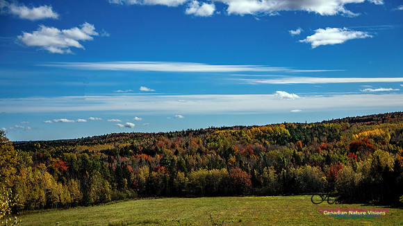 Last Fall Colours of 2024 104