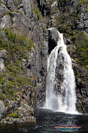 Western Brook Pond 119