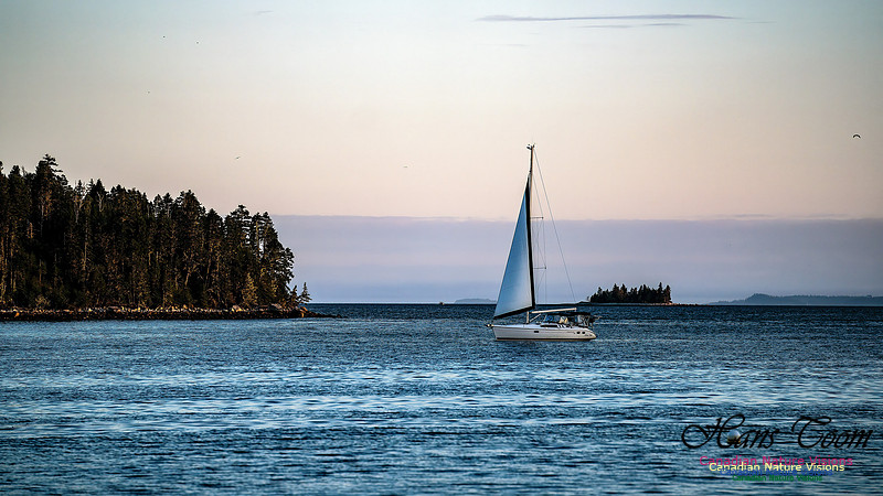 Harbour Traffic 111