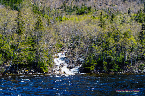 Western Brook Pond 190
